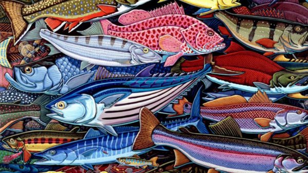 Баннер для рыбного магазина