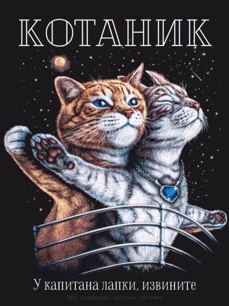 Плакаты с котиками