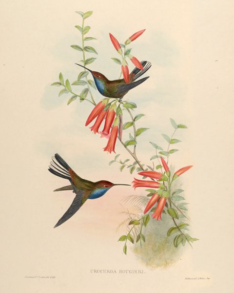 Даринчи Издательство постеры