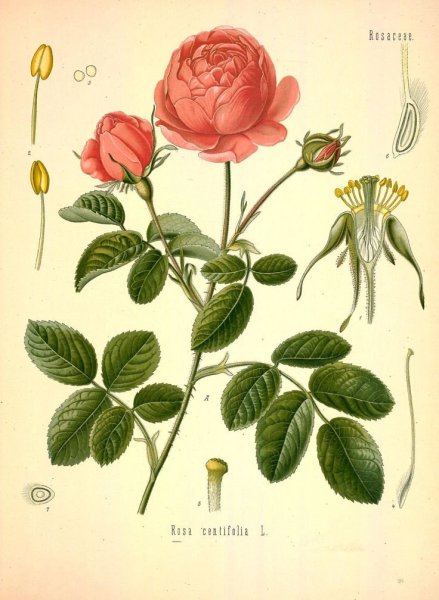 Постер с паспарту