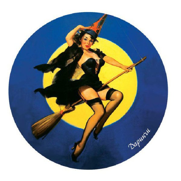 Punica granatum иллюстрация Ботаническая