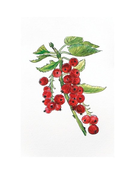 Постер Даринчи а4 №05