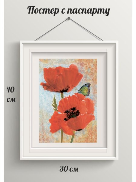 Постер Даринчи а4 №12