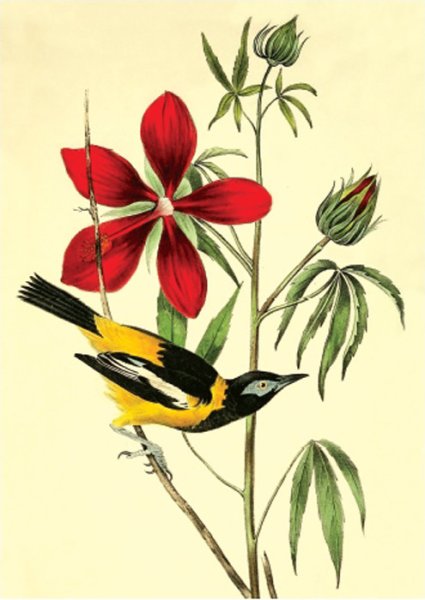 Набор постеров а4 3 штуки №1