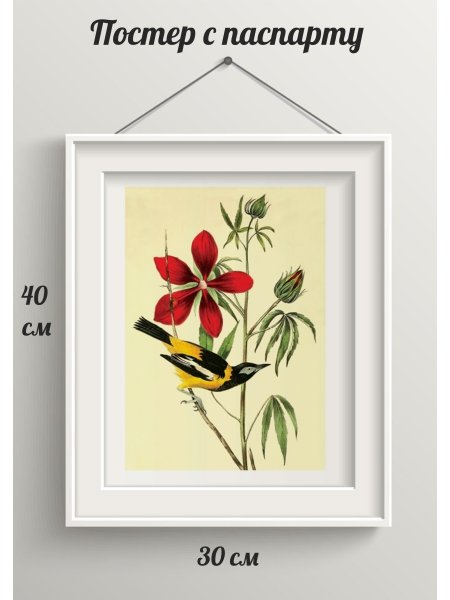 Роза биология