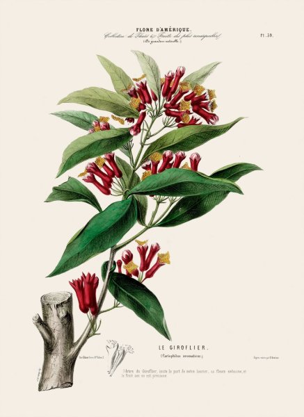 Ботанические плакаты лимон