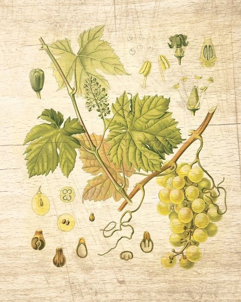 Постер Даринчи а4 №10