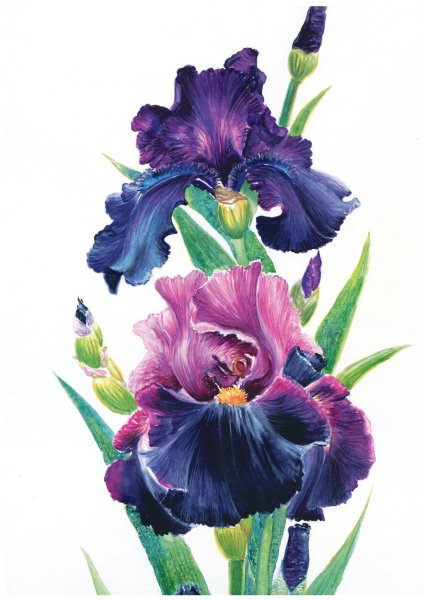 Постер Старая Москва