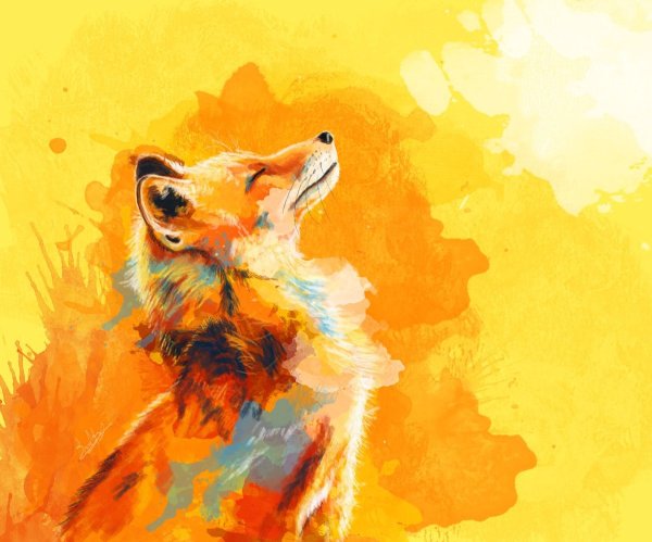 Лиса красками