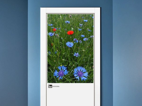 Акварель цветы васильки