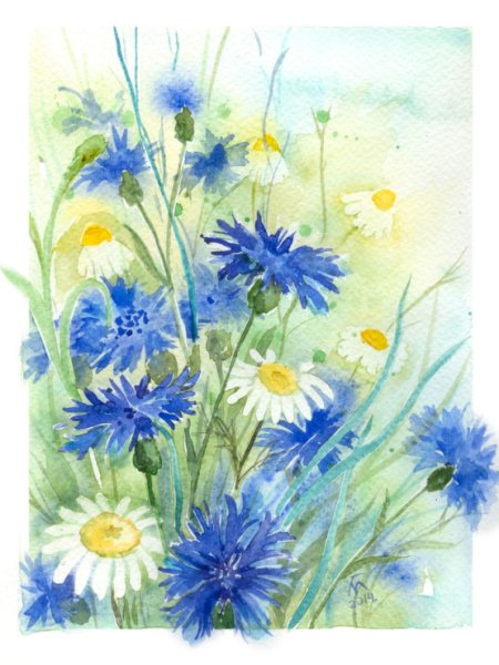 Васильки и колоски