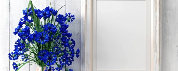 Фон с васильками