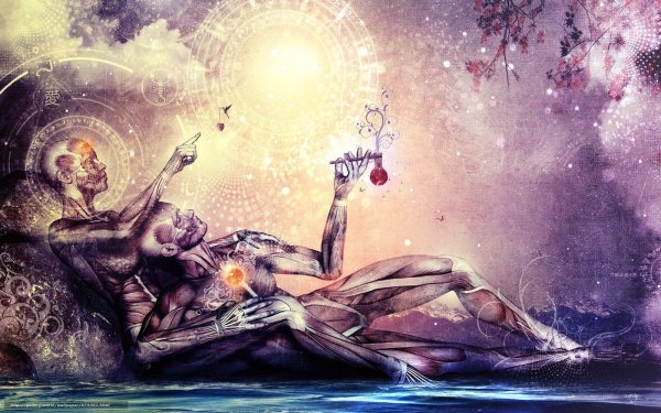 Информационное поле Вселенной