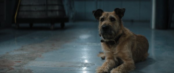 What remains of Edith Finch лого