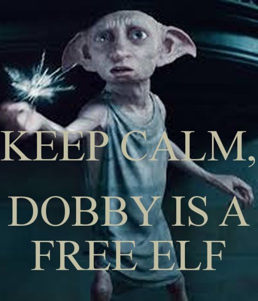 Гарри Поттер Добби свободен