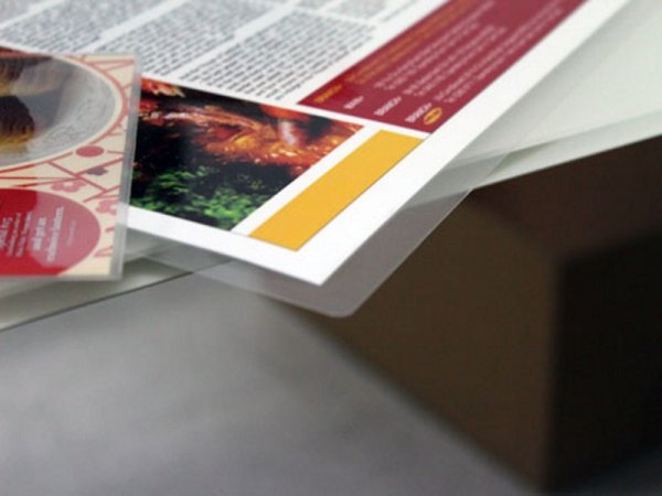 Ламинированная визитка