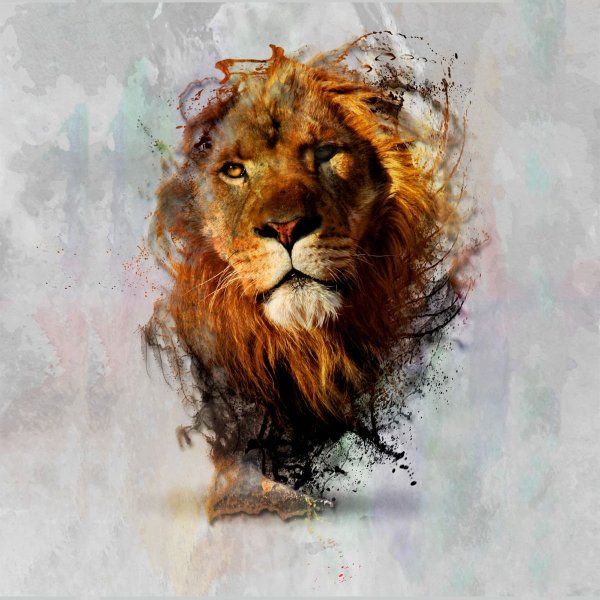 Плакат со львом