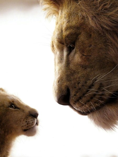 Мультфильм Король Лев 2020