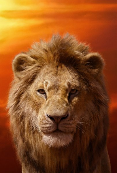 Lion King Постер