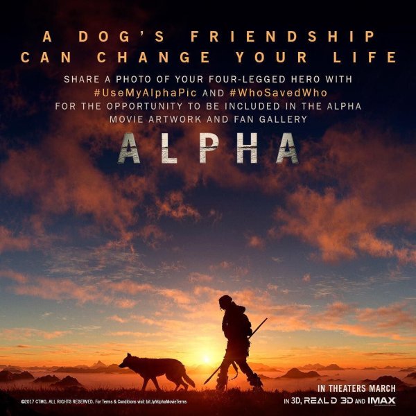 Альфа 2018 Постер