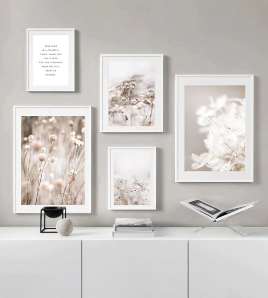 Сухоцветы на стене