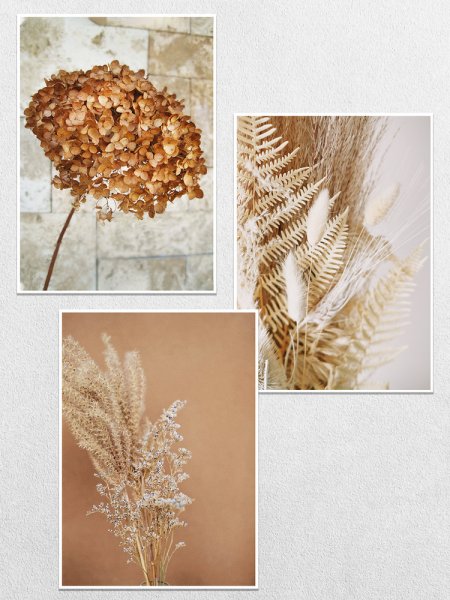 Пинтерест Эстетика бежевый