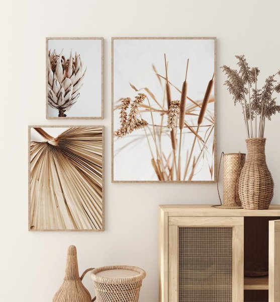 Постер из сухоцветов