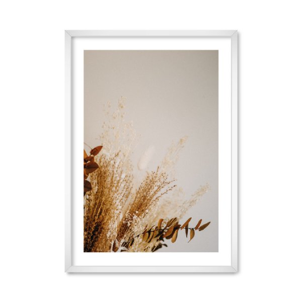 Постер сухие цветы