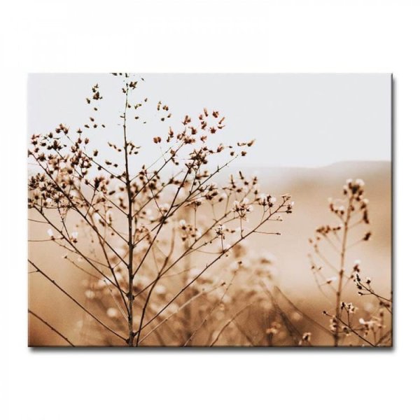 Постеры сухоцветы для интерьера