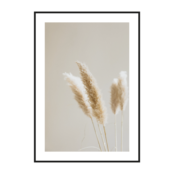 Пшеница Постер
