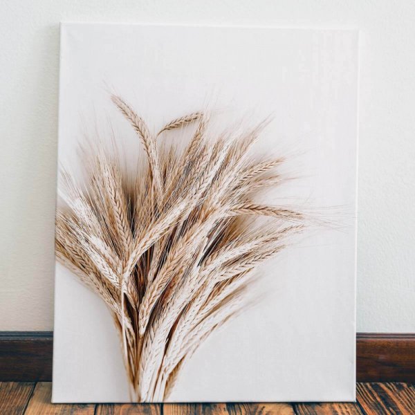 Сухоцветы Эстетика