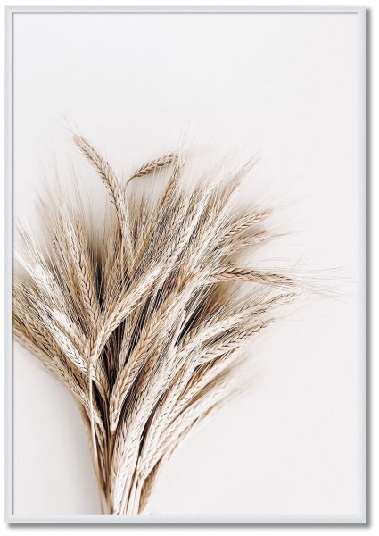 Сухоцветы Графика