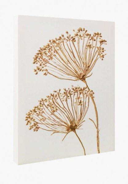 Сухоцветы в рамке на стену