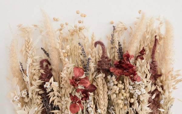 Красивый букет из лаванды