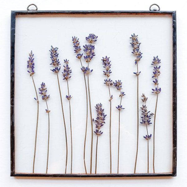 Природа в бежевых тонах