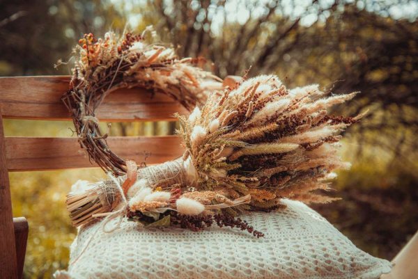 Сухая трава гербарий сухоцветы