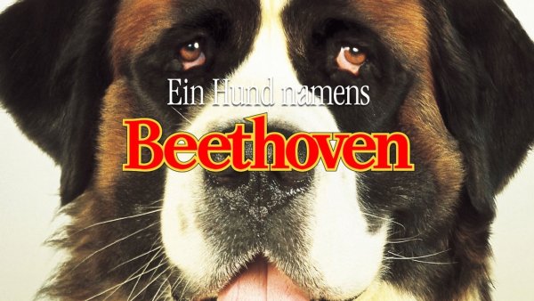 Собачья жизнь фильм Постер