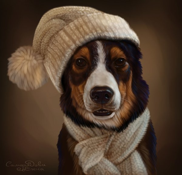 Плакаты с собаками