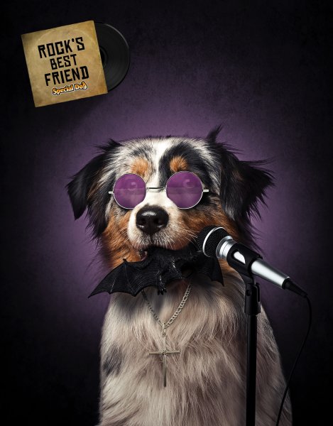 Социальная реклама животные