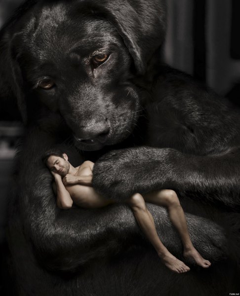 Табличка Йорка