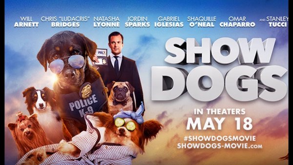 Отель для собак