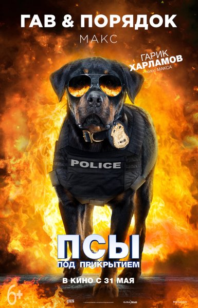 Итан Монтгомери собачья жизнь