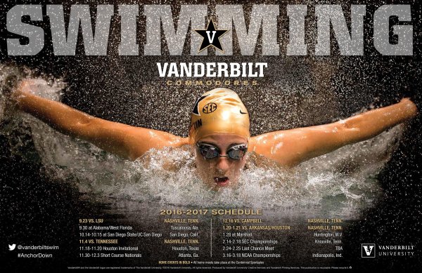 Изображение пловца