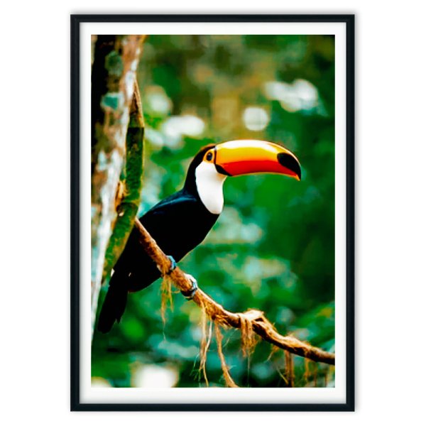 Тукан в рамке с надписями