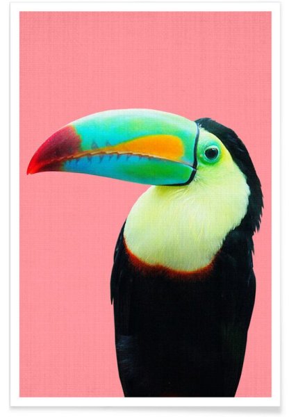 Постер Тукан