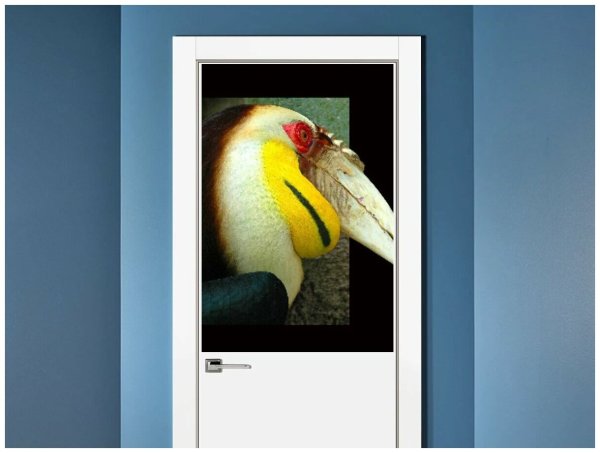 Туканы обои в интерьере гостиной