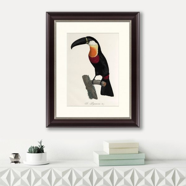 Постер Тукан