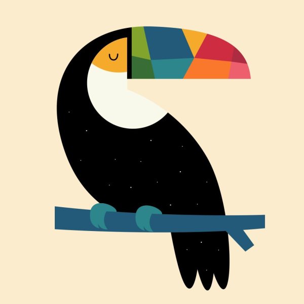 Нарисовать стильный Постер Тукан