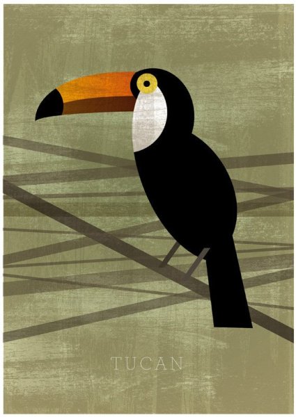 Постер Тукан