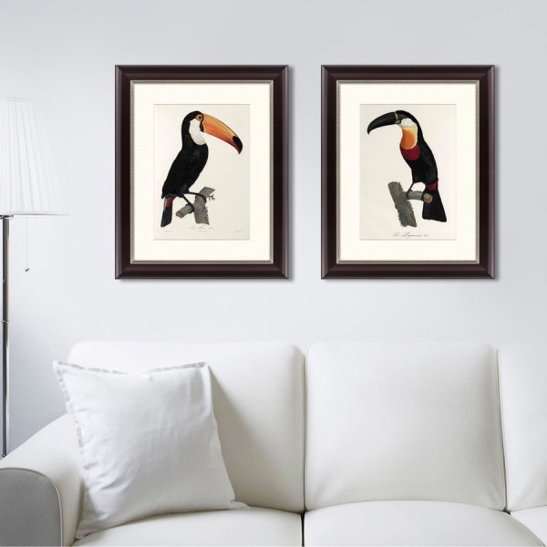 Тукан в джунглях рисунок